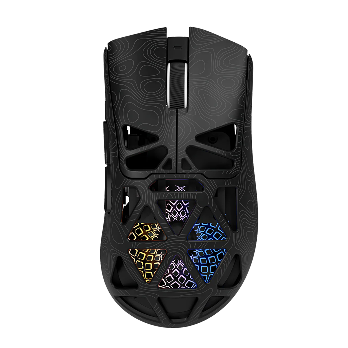 RapidLynx