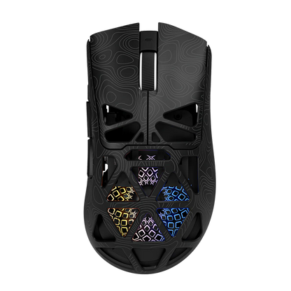 RapidLynx