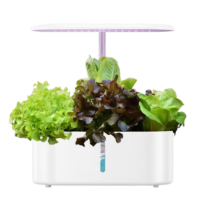 Harvestra