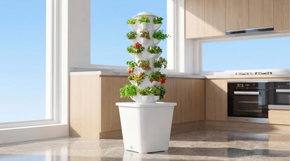 SproutSpire