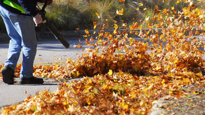 LeafVortex