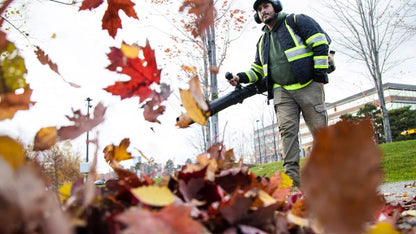 LeafVortex