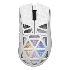RapidLynx