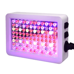 SpectraBloom