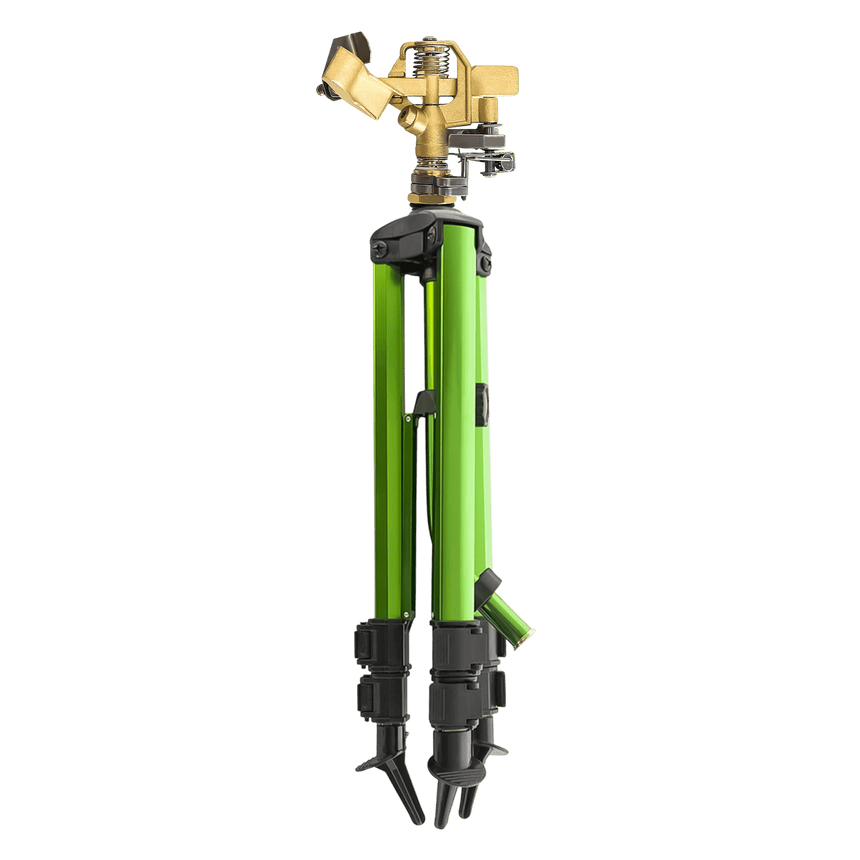 Drizzora