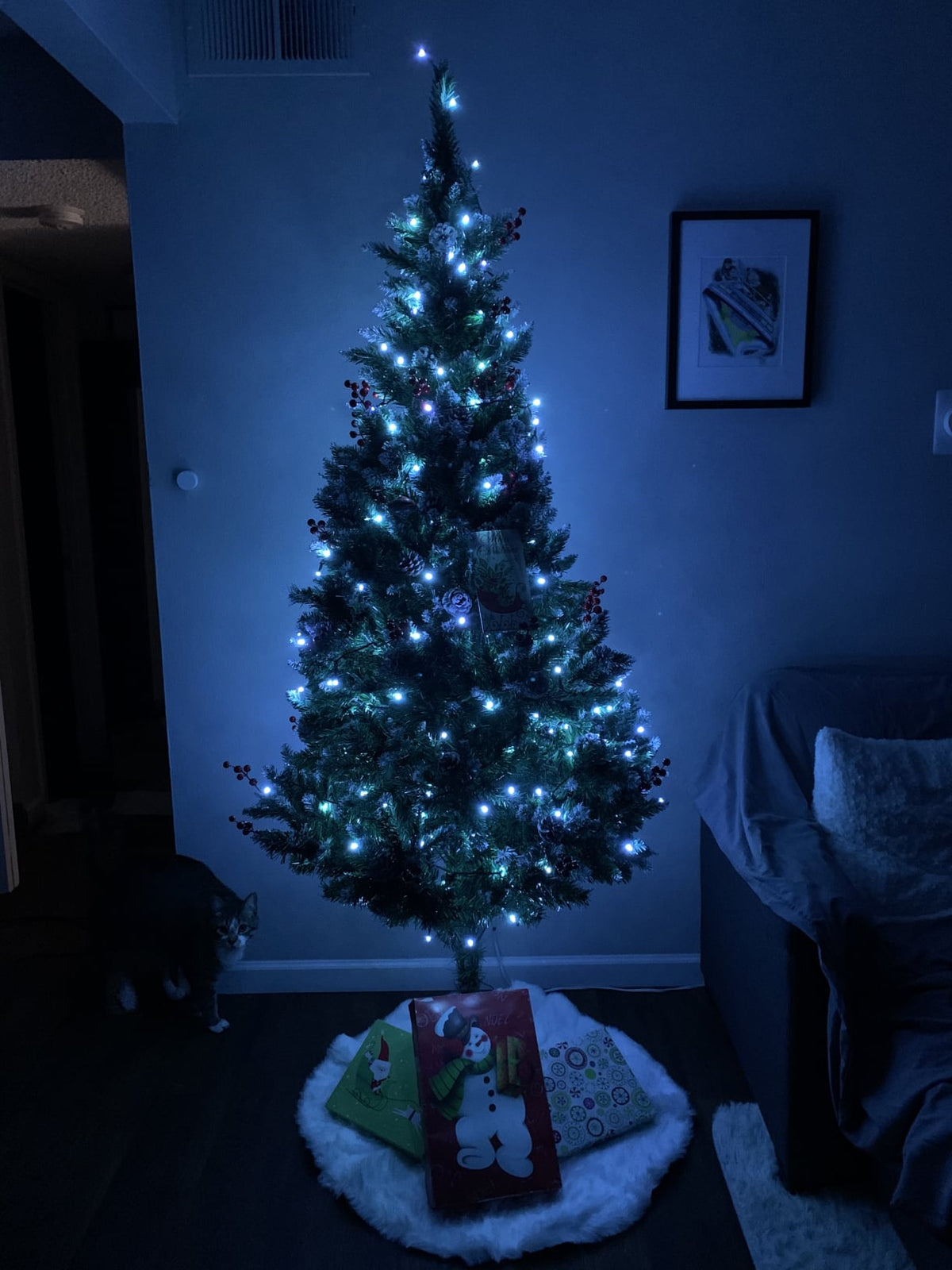 NoelBrite