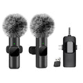 2 Microphone-4 In 1