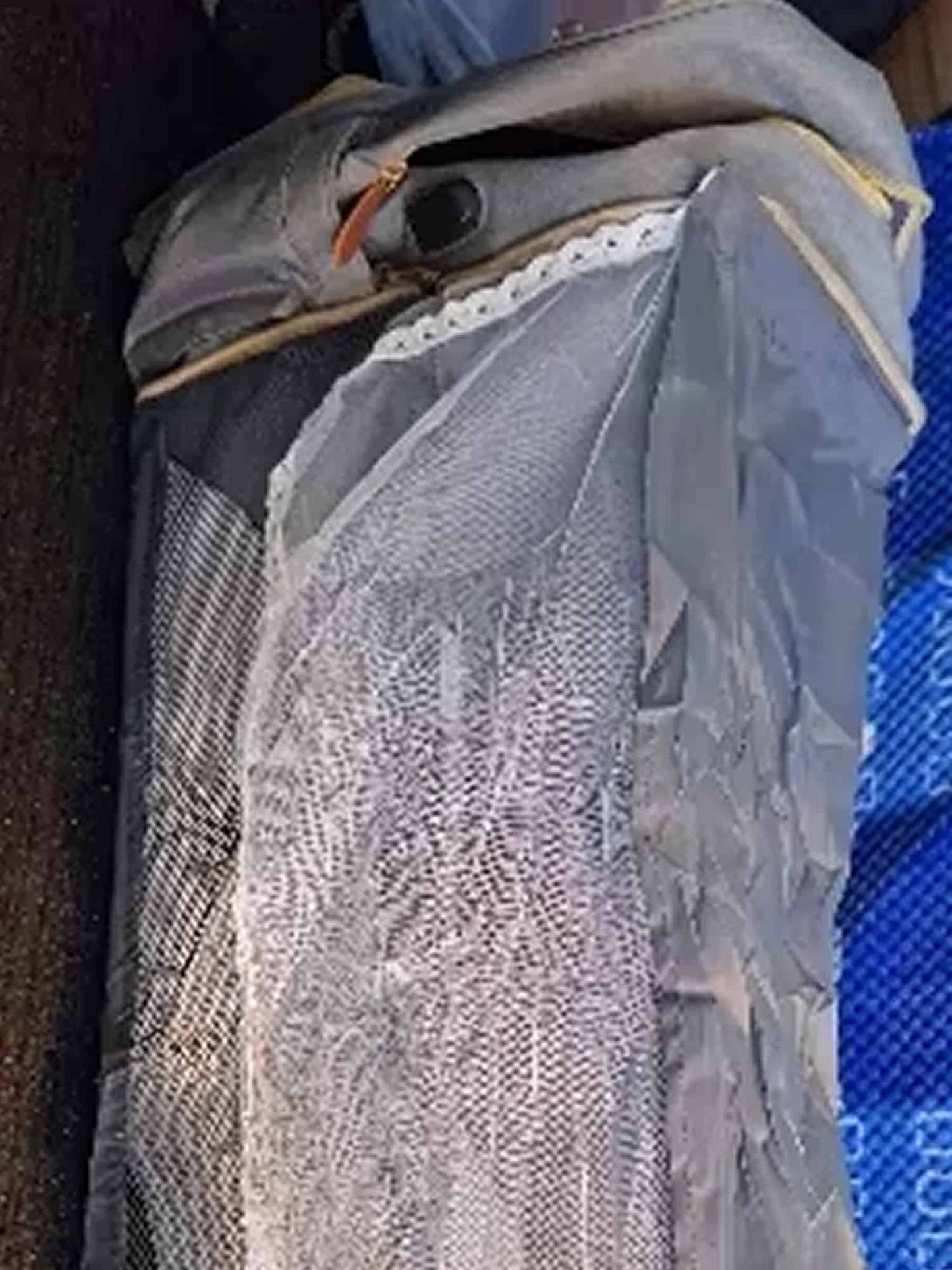NestVoyage