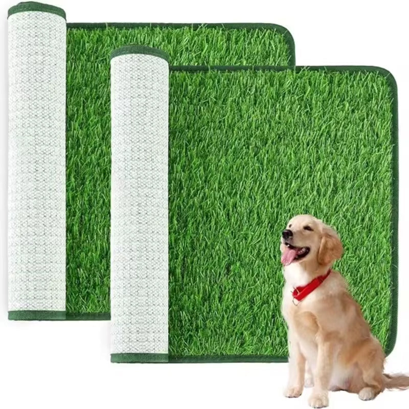 PawTerrace