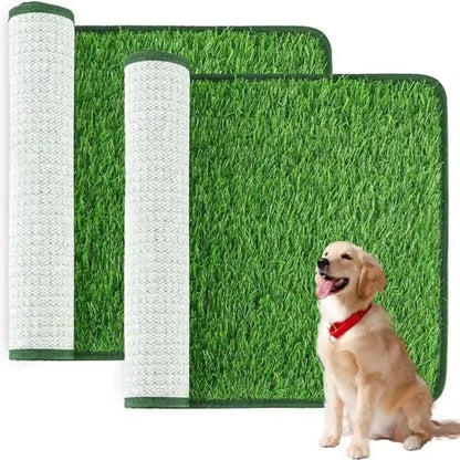 PawTerrace