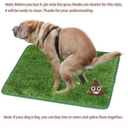 PawTerrace