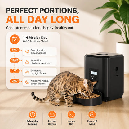 NouriPaw