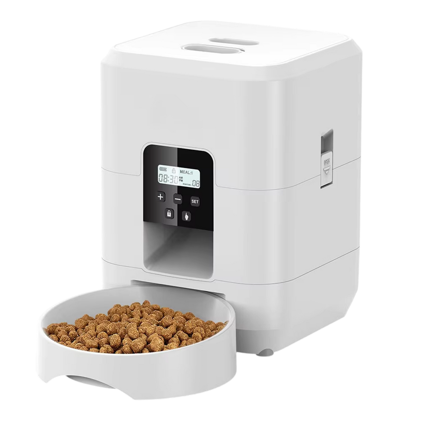 NouriPaw