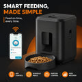 White WIFI Feeder