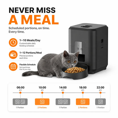 NouriPaw