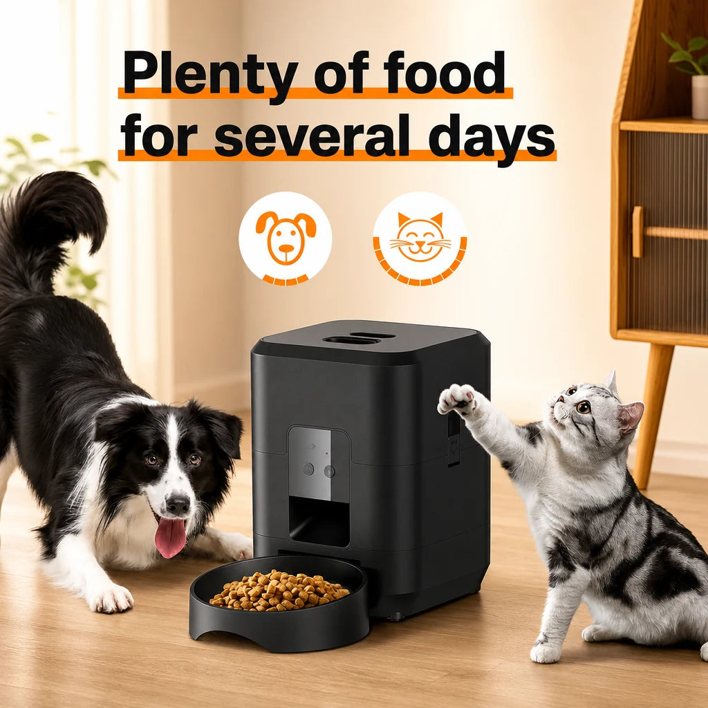 NouriPaw