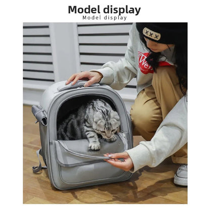 PawVoyage