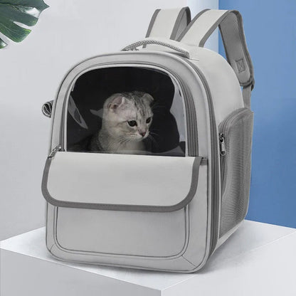 PawVoyage