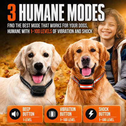 CanineCommand Pro