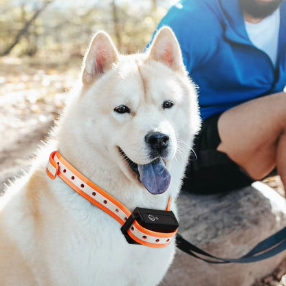 CanineCommand Pro