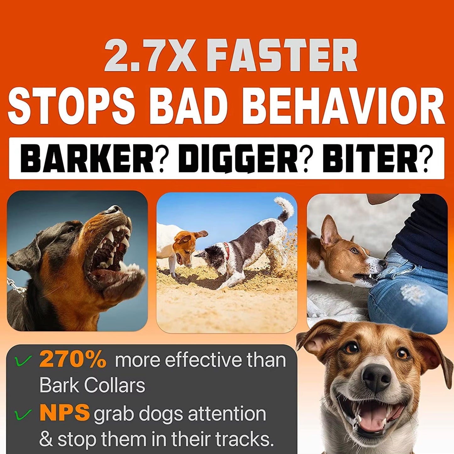 BarkWave Pro