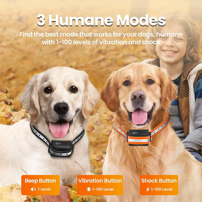 PawSignal