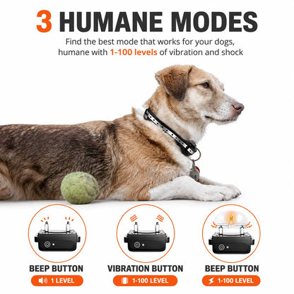 PawCommand