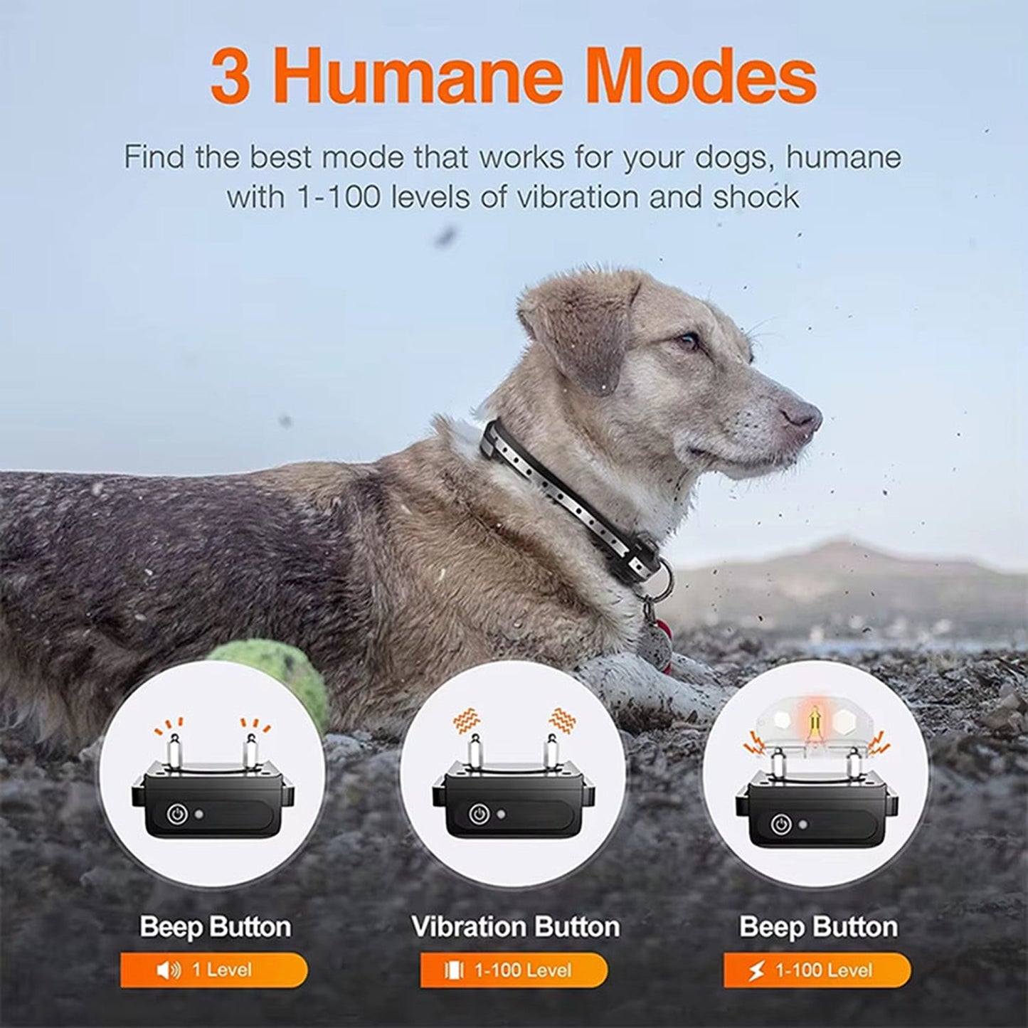 PawCommand