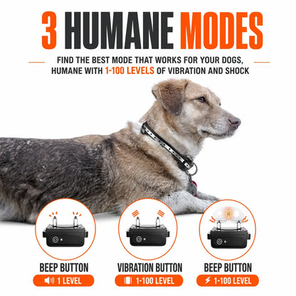 PawSignal