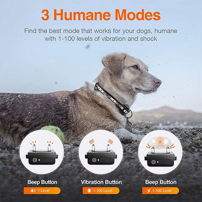 PawSignal