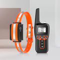 Orange 1 Collar