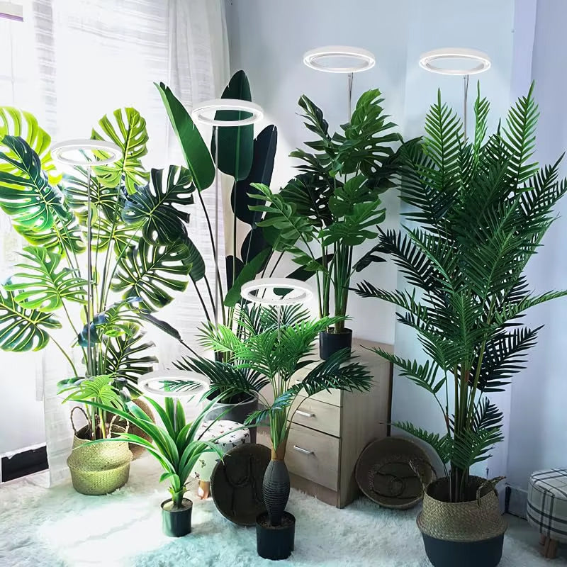 FloraAxis
