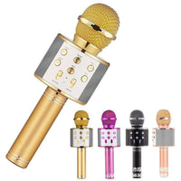 Plug-In Echo Karaoke Mic (3.5mm no-battery)