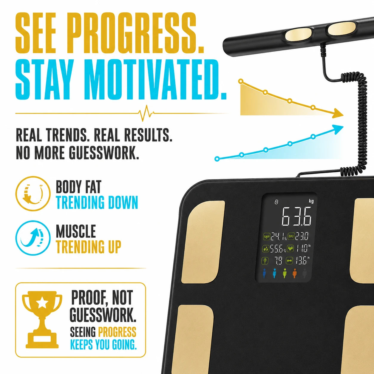 pp-bodymetrix-pro-p7_b1