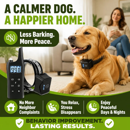 pp-caninevolt-p8_b2