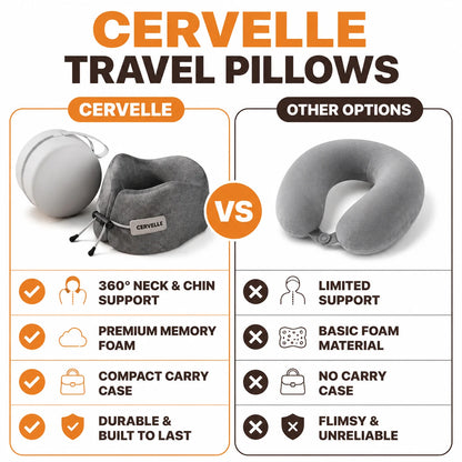 pp-cervelle-p4_v1