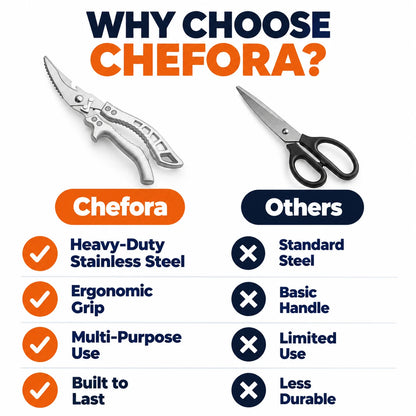 pp-chefora-p4_v3