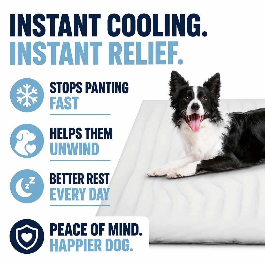pp-chillden-cooling-mat-p7_b1