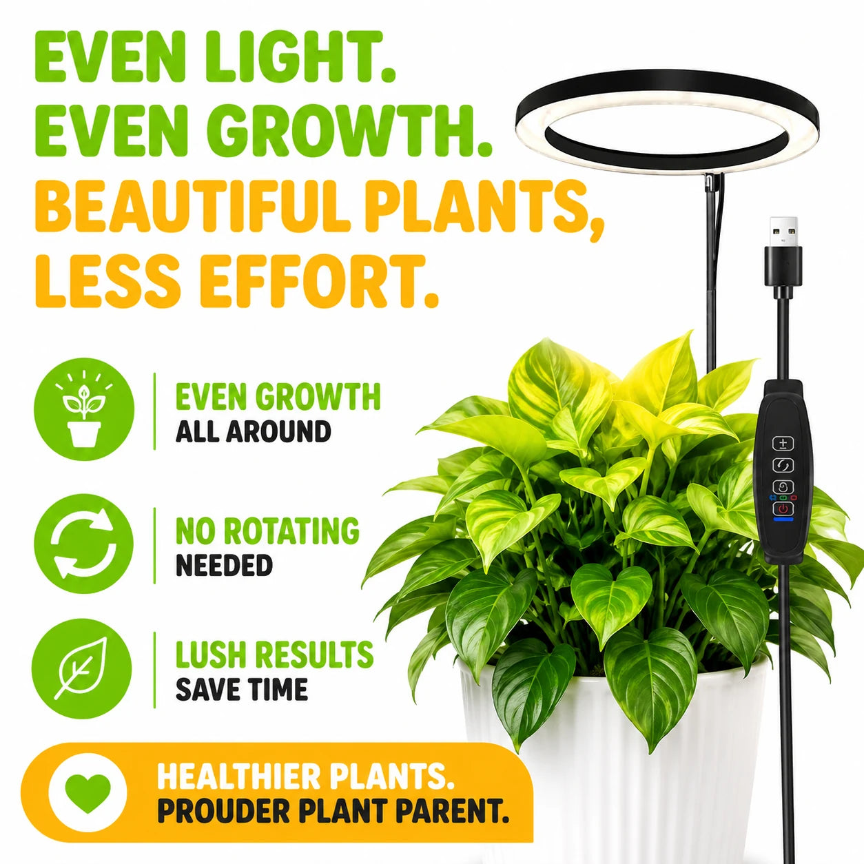 pp-flora-axis-p7_b2