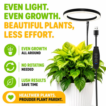 pp-flora-axis-p7_b2