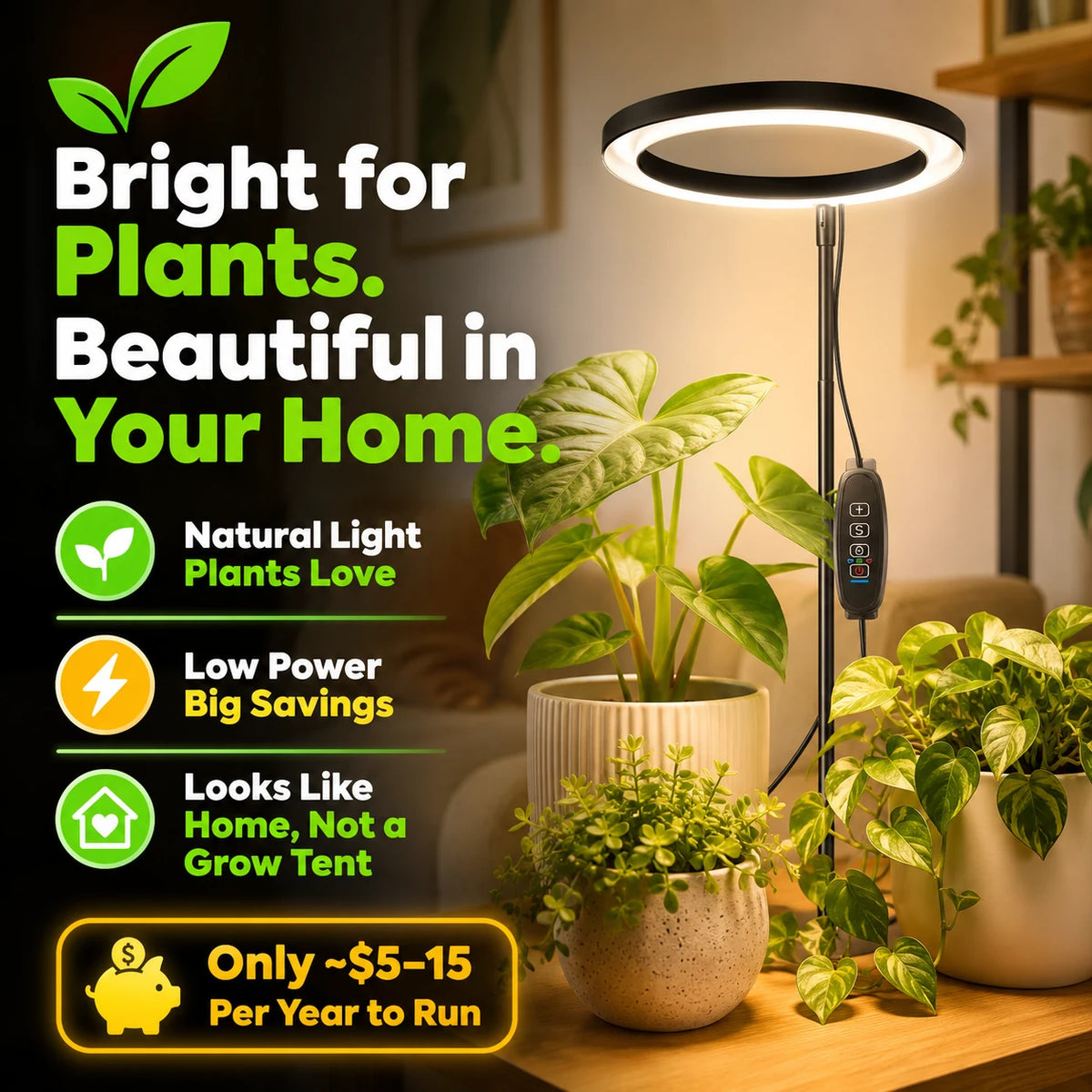 pp-flora-axis-p8_b3
