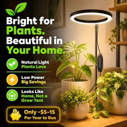 pp-flora-axis-p8_b3