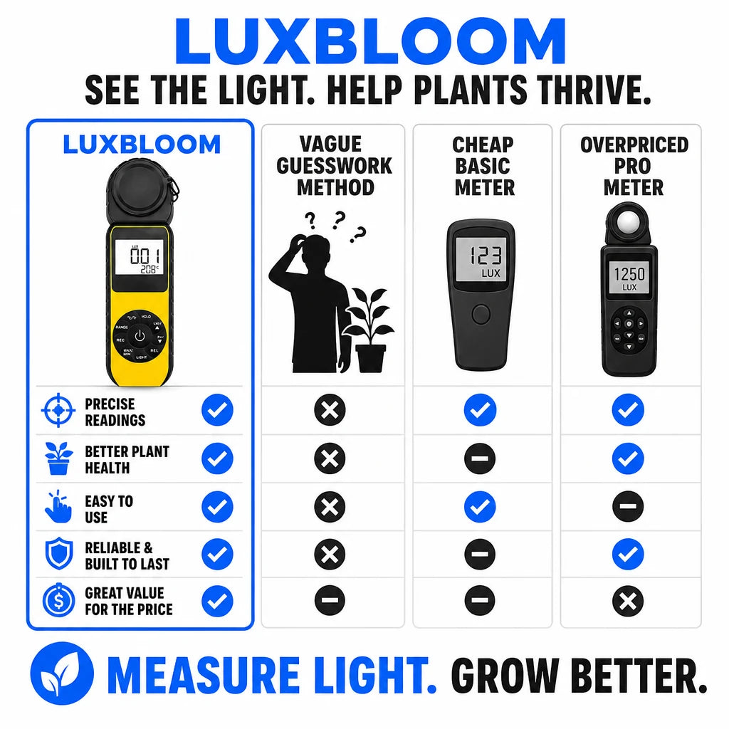 pp-luxbloom-p4_v2