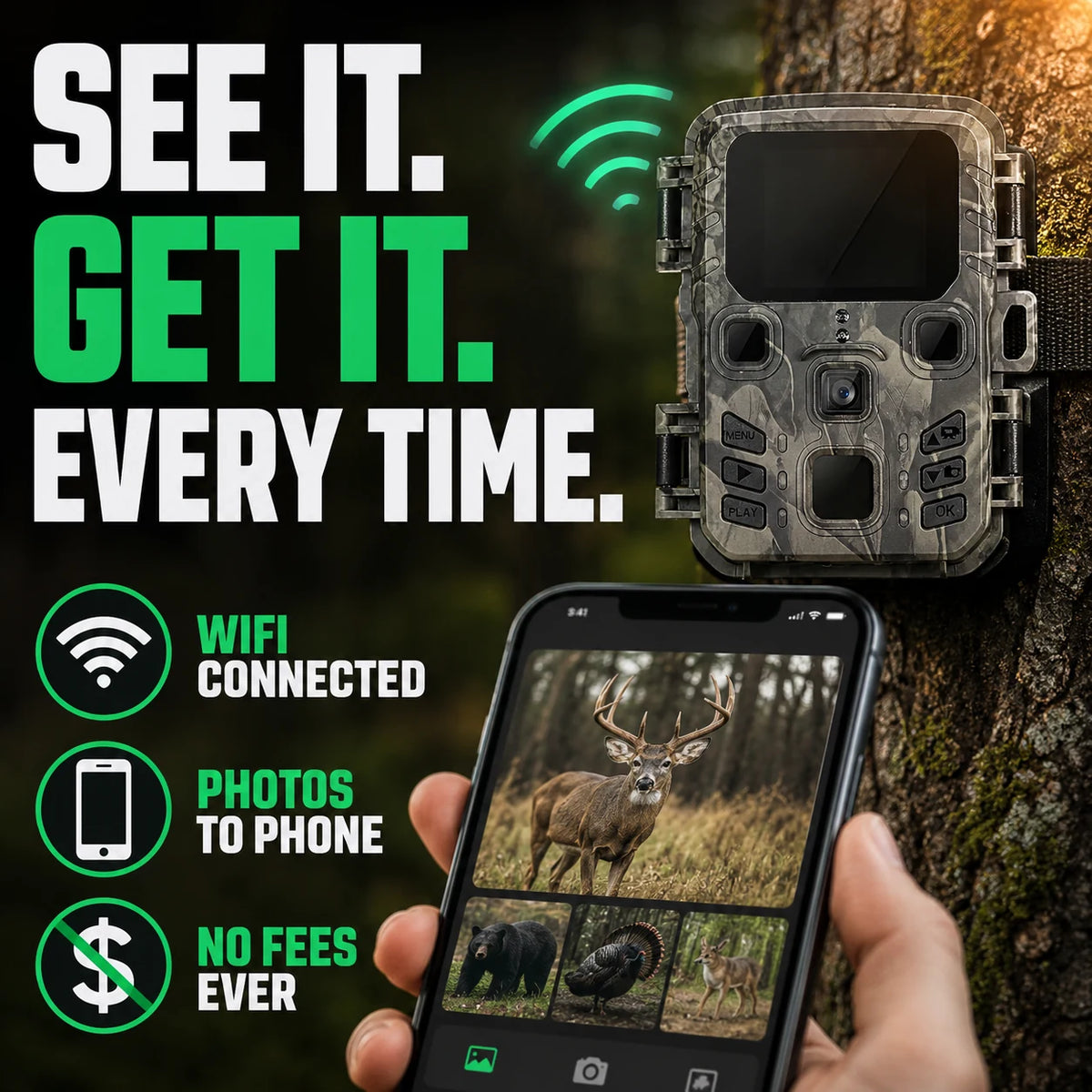 pp-lynxview-p2_g2