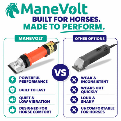 pp-manevolt-p4_v1