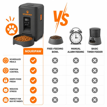 pp-nouripaw-p4_v1