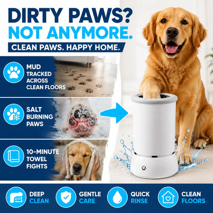 pp-pawnova-p5