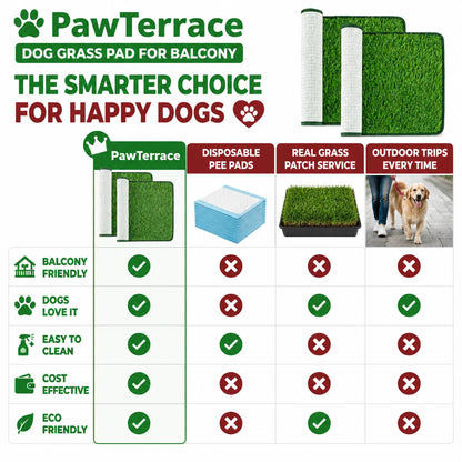 pp-pawterrace-p4_v2