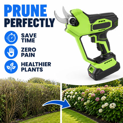 pp-prunivolt-p2w_g2a