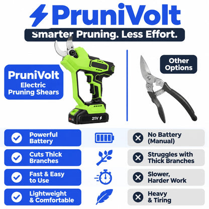 pp-prunivolt-p4_v1